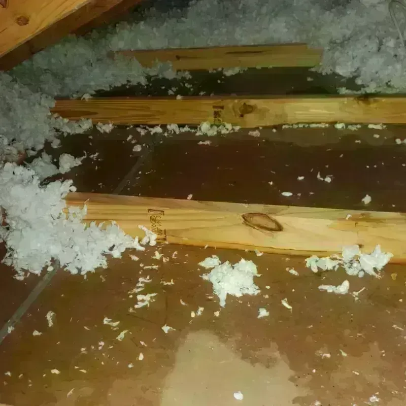 Attic Water Damage in Monticello, UT