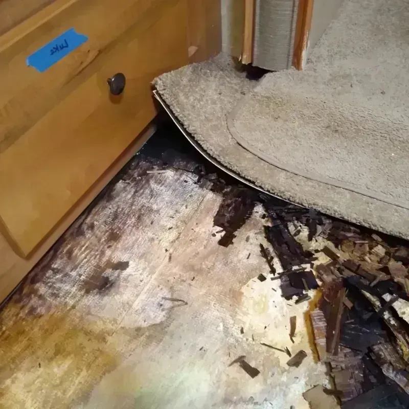 Best Wood Floor Water Damage Service in Monticello, UT